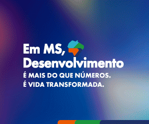Desenvolvimento 